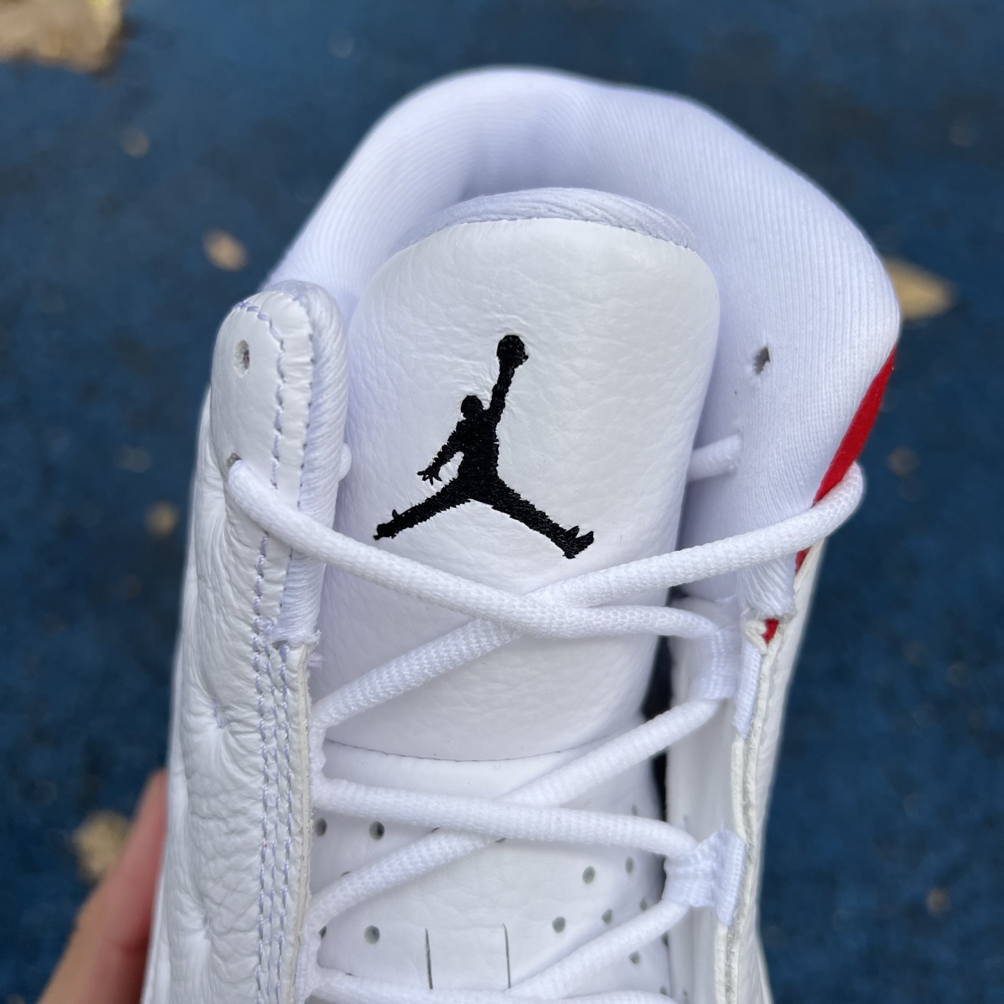 Nike Jordan shoe